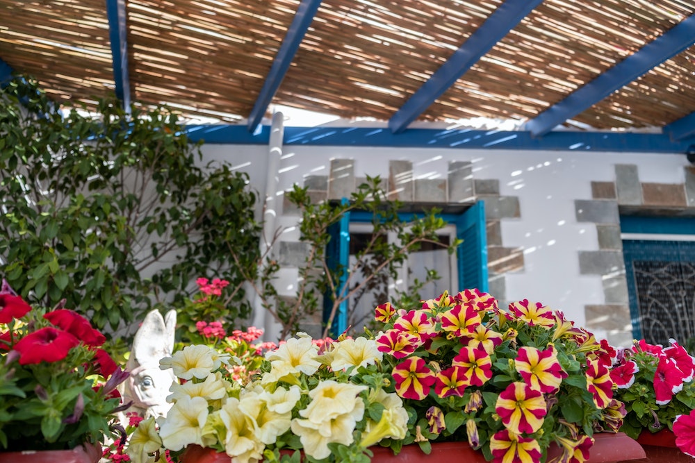Pergola : un atout majeur pour le design de votre jardin